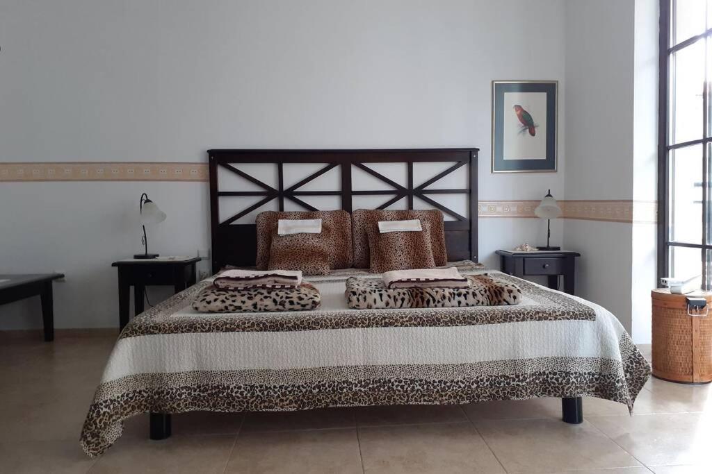 Studio At "The Cliff" Complex South Beach Obzor, Private Appartment A2A5 Kültér fotó
